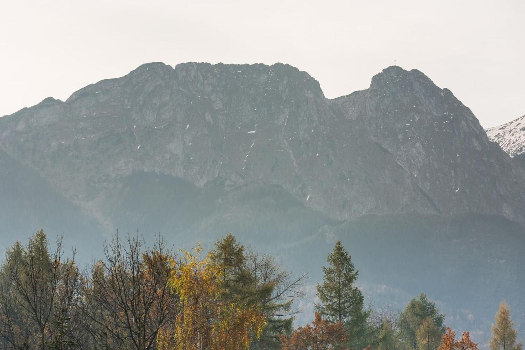 Rent Like Home - Kasprowicza Zakopane Eksteriør bilde